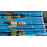 BD PLAYMOBIL 